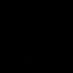 Meet your Posher, Cheyenne